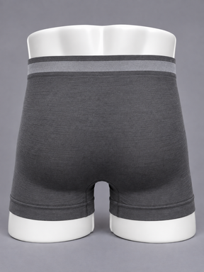 Kit 10 Cuecas Boxer Masculina Adulto Sem Costura Microfibra Scanner